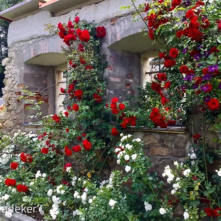 Design Mit Bauerngarten