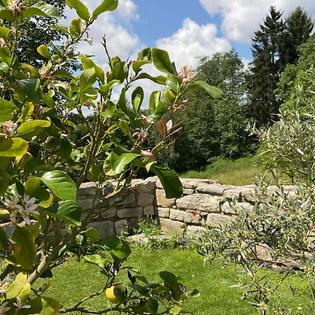 شقة Design Mit Bauerngarten فالدكيرشن