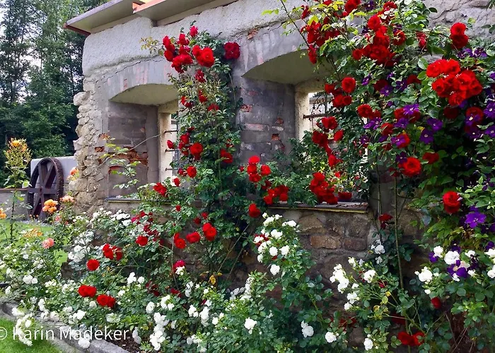 Design Mit Bauerngarten