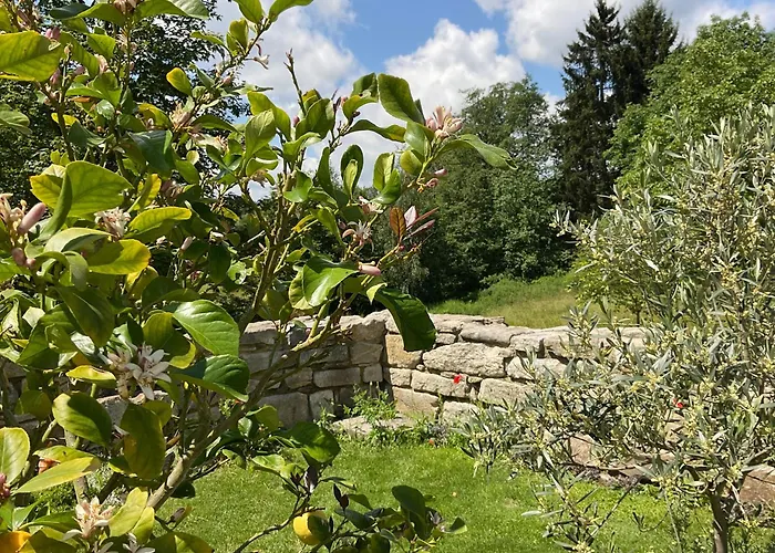 Апартаменты Design Mit Bauerngarten Вальдкирхен
