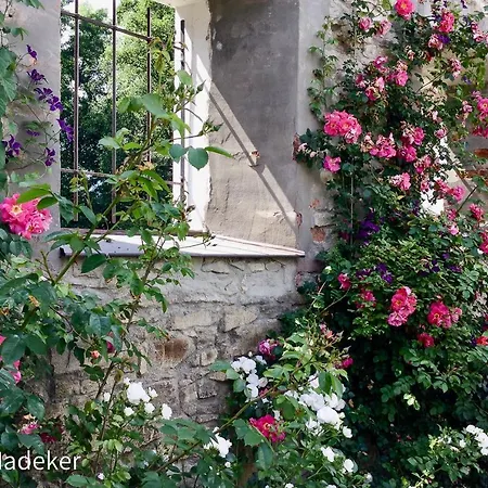 Design Mit Bauerngarten Waldkirchen