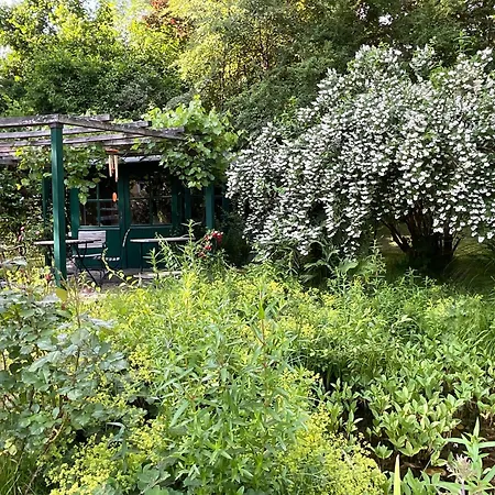 Apartment Design Mit Bauerngarten *