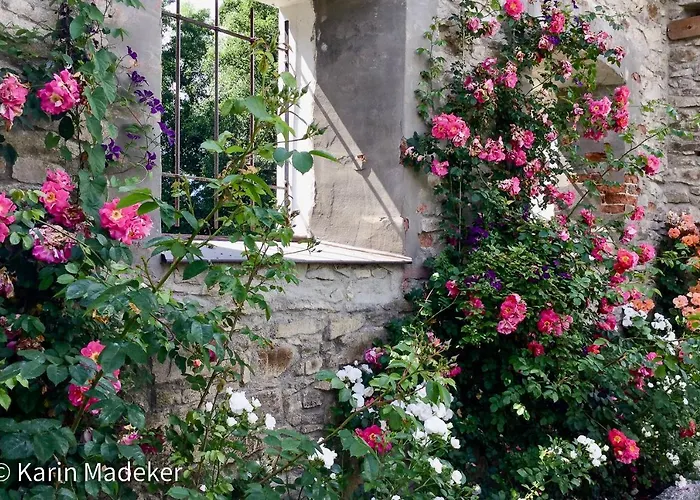 Design Mit Bauerngarten Waldkirchen
